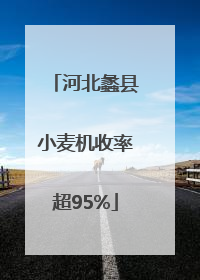 河北蠡县小麦机收率超95%