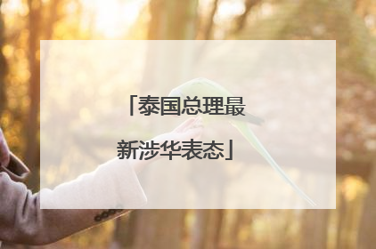 泰国总理最新涉华表态