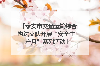 泰安市交通运输综合执法支队开展“安全生产月”系列活动