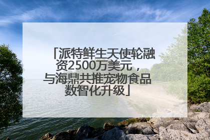派特鲜生天使轮融资2500万美元，与海鼎共推宠物食品数智化升级