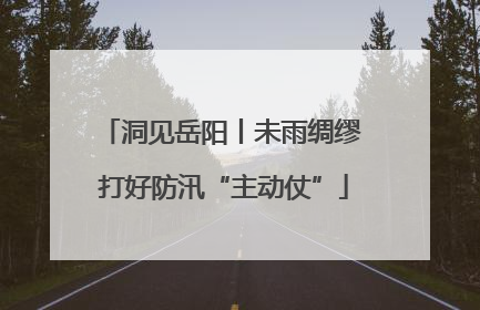 洞见岳阳丨未雨绸缪 打好防汛“主动仗”