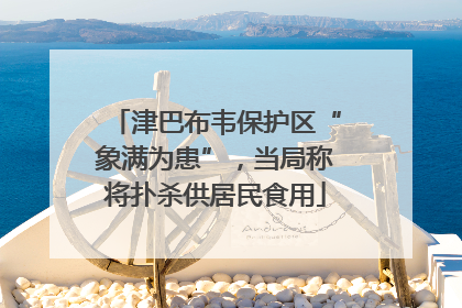 津巴布韦保护区“象满为患”，当局称将扑杀供居民食用