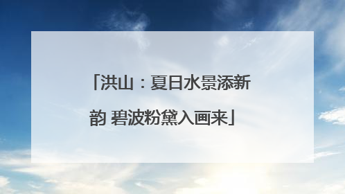 洪山：夏日水景添新韵 碧波粉黛入画来