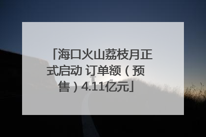 海口火山荔枝月正式启动 订单额（预售）4.11亿元
