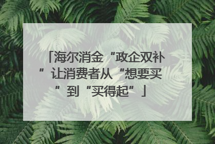 海尔消金“政企双补”让消费者从“想要买”到“买得起”