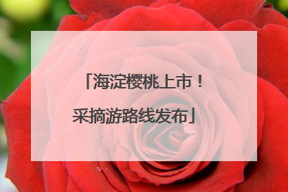 海淀樱桃上市！采摘游路线发布