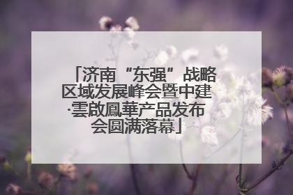 济南“东强”战略区域发展峰会暨中建·雲啟鳳華产品发布会圆满落幕