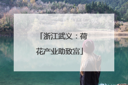 浙江武义：荷花产业助致富