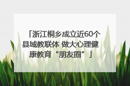 浙江桐乡成立近60个县域教联体 做大心理健康教育“朋友圈”