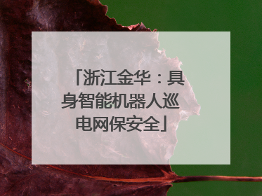 浙江金华：具身智能机器人巡电网保安全