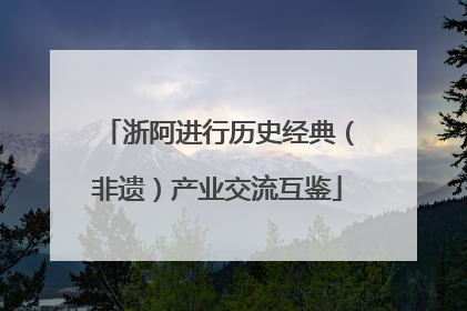 浙阿进行历史经典（非遗）产业交流互鉴