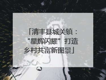 清丰县城关镇：“星辉闪耀”打造乡村共富新图景