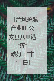 清风护航产业旺 公安县八里港 “莲” 动好 “丰” 景