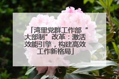 湾里党群工作部“大部制”改革：激活效能引擎，构建高效工作新格局