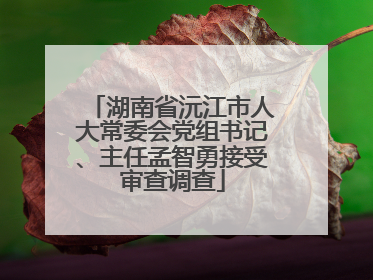 湖南省沅江市人大常委会党组书记、主任孟智勇接受审查调查
