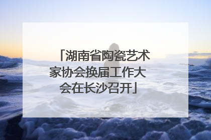 湖南省陶瓷艺术家协会换届工作大会在长沙召开