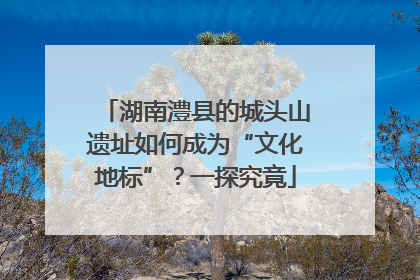 湖南澧县的城头山遗址如何成为“文化地标”？一探究竟