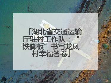 湖北省交通运输厅驻村工作队：“铁脚板”书写龙凤村幸福答卷
