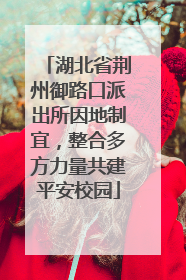 湖北省荆州御路口派出所因地制宜，整合多方力量共建平安校园