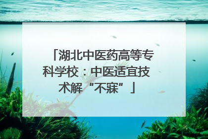 湖北中医药高等专科学校：中医适宜技术解“不寐”