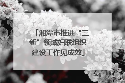 湘潭市推进“三新”领域妇联组织建设工作见成效