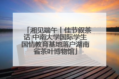 湘见端午丨佳节叙茶话 中南大学国际学生国情教育基地落户湖南省茶叶博物馆