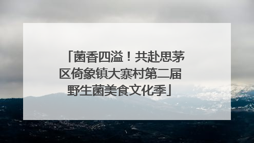 菌香四溢！共赴思茅区倚象镇大寨村第二届野生菌美食文化季