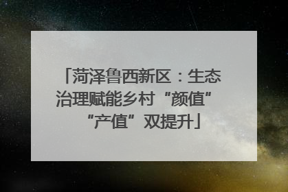 菏泽鲁西新区：生态治理赋能乡村“颜值”“产值”双提升