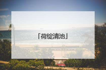 荷绽清池