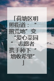 荷塘区明照街道：“撂荒地”变“爱心菜园” 志愿者携手种下“增收希望”