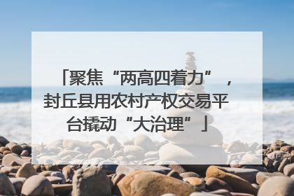 聚焦“两高四着力”，封丘县用农村产权交易平台撬动“大治理”