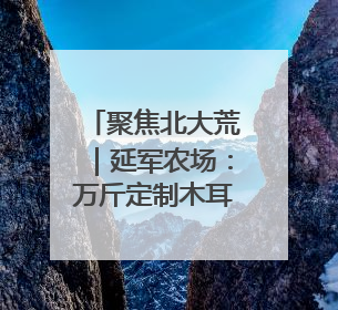 聚焦北大荒｜延军农场：万斤定制木耳发货 特色产业“成绩单”亮眼