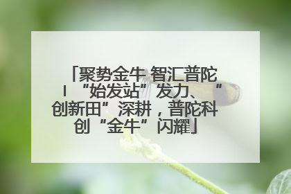 聚势金牛 智汇普陀〡“始发站”发力、“创新田”深耕，普陀科创“金牛”闪耀