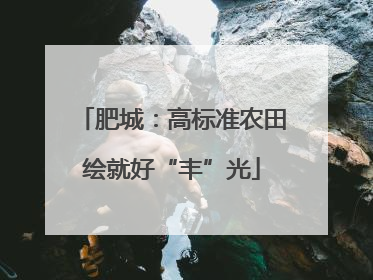 肥城：高标准农田绘就好“丰”光