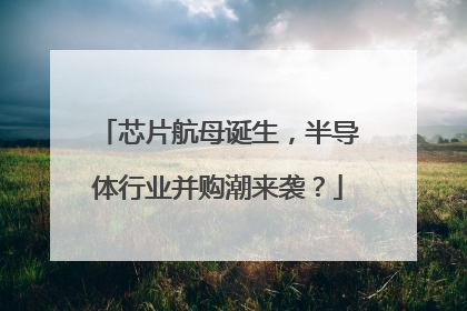 芯片航母诞生，半导体行业并购潮来袭？