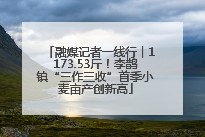 融媒记者一线行丨1173.53斤！李鹊镇“三作三收”首季小麦亩产创新高