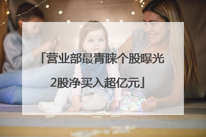 营业部最青睐个股曝光 2股净买入超亿元