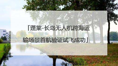 蓬莱-长岛无人机跨海运输场景首航验证试飞成功