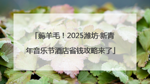 薅羊毛！2025潍坊·新青年音乐节酒店省钱攻略来了