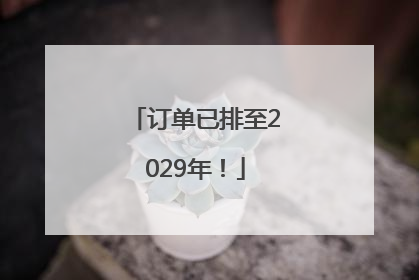 订单已排至2029年！