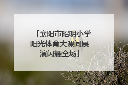 襄阳市昭明小学阳光体育大课间展演闪耀全场