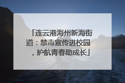 连云港海州新海街道：禁毒宣传进校园，护航青春助成长