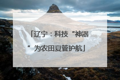 辽宁：科技“神器”为农田夏管护航