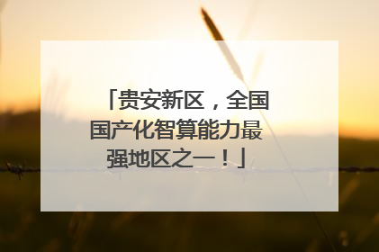 贵安新区，全国国产化智算能力最强地区之一！