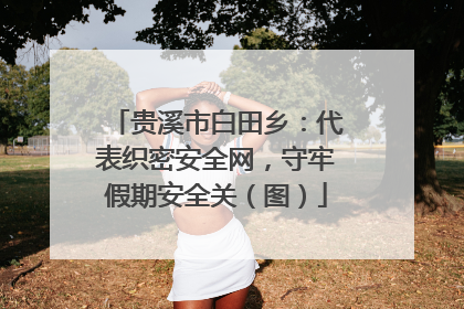 贵溪市白田乡：代表织密安全网，守牢假期安全关（图）