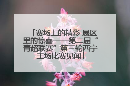 赛场上的精彩 展区里的惊喜——第二届“青超联赛”第三轮西宁主场比赛见闻