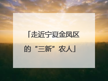 走近宁夏金凤区的“三新”农人