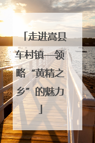 走进嵩县车村镇—领略“黄精之乡”的魅力