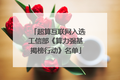 超算互联网入选工信部《算力强基揭榜行动》名单