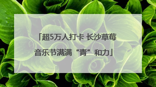 超5万人打卡 长沙草莓音乐节满满“青”和力